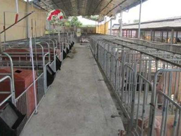 bob手机版网页登录:药品过期补偿多少